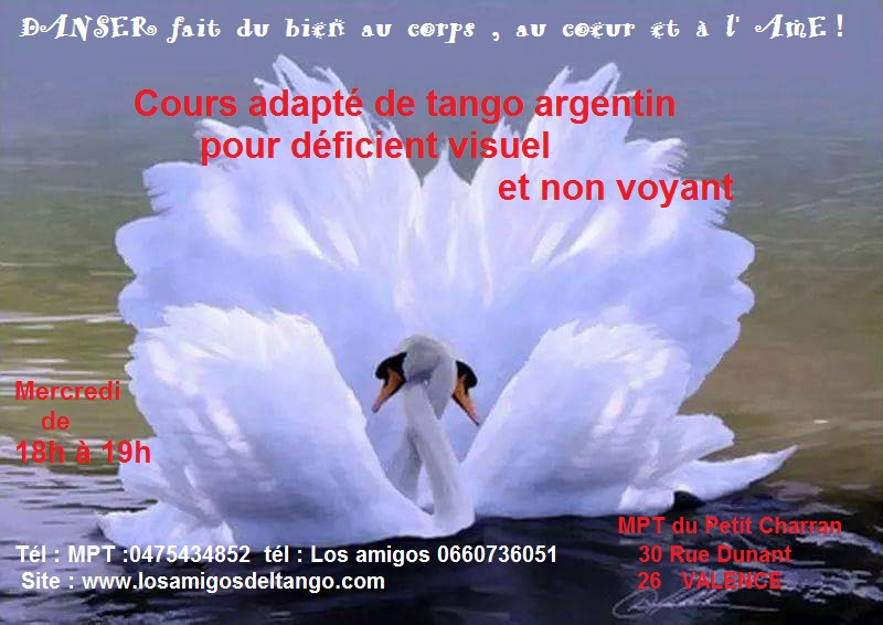 PUB NON VOYANT et CYGNE JPG.jpg